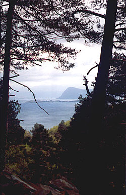 Blick von Amdal ber den Vindafjord